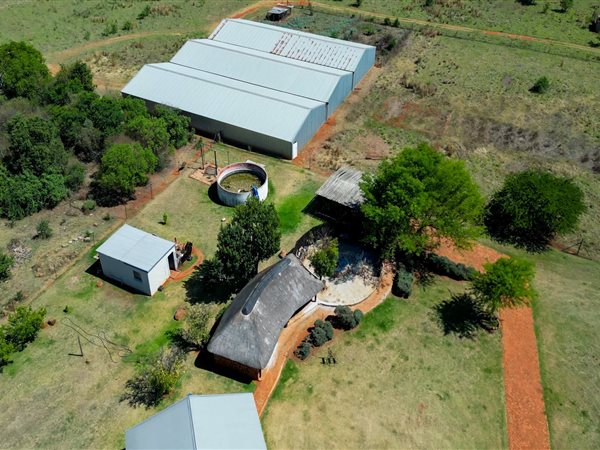 Game Farm in Cullinan and Surrounds