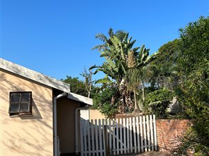 1 Bed Garden Cottage in Westville North