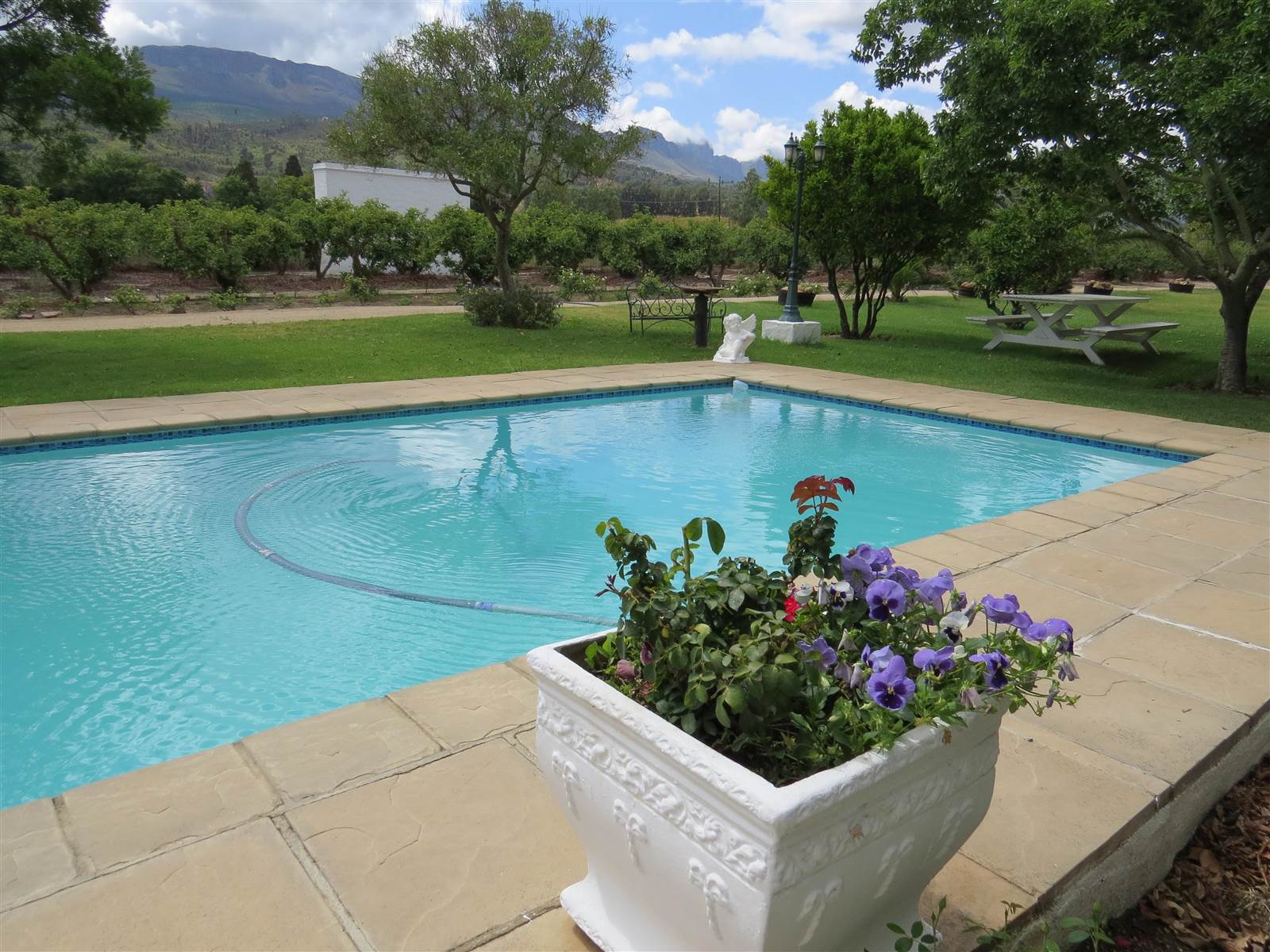 17 ha Farm in Northern Paarl photo number 24