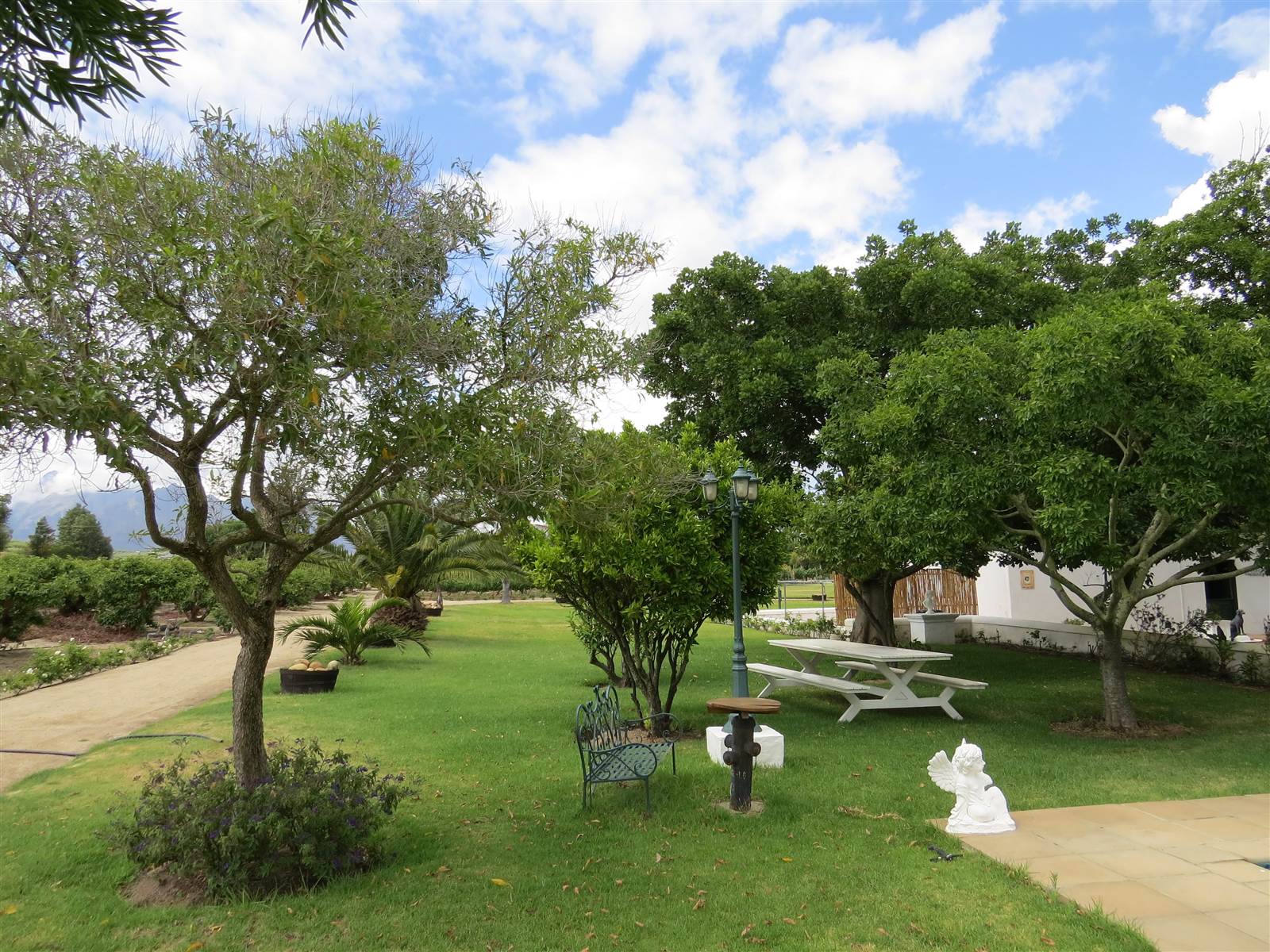 17 ha Farm in Northern Paarl photo number 26