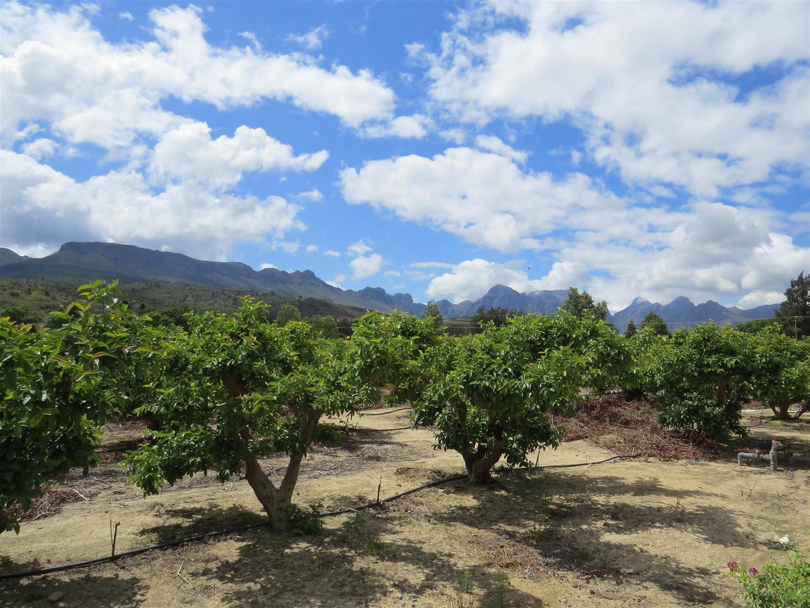 17 ha Farm in Northern Paarl photo number 28