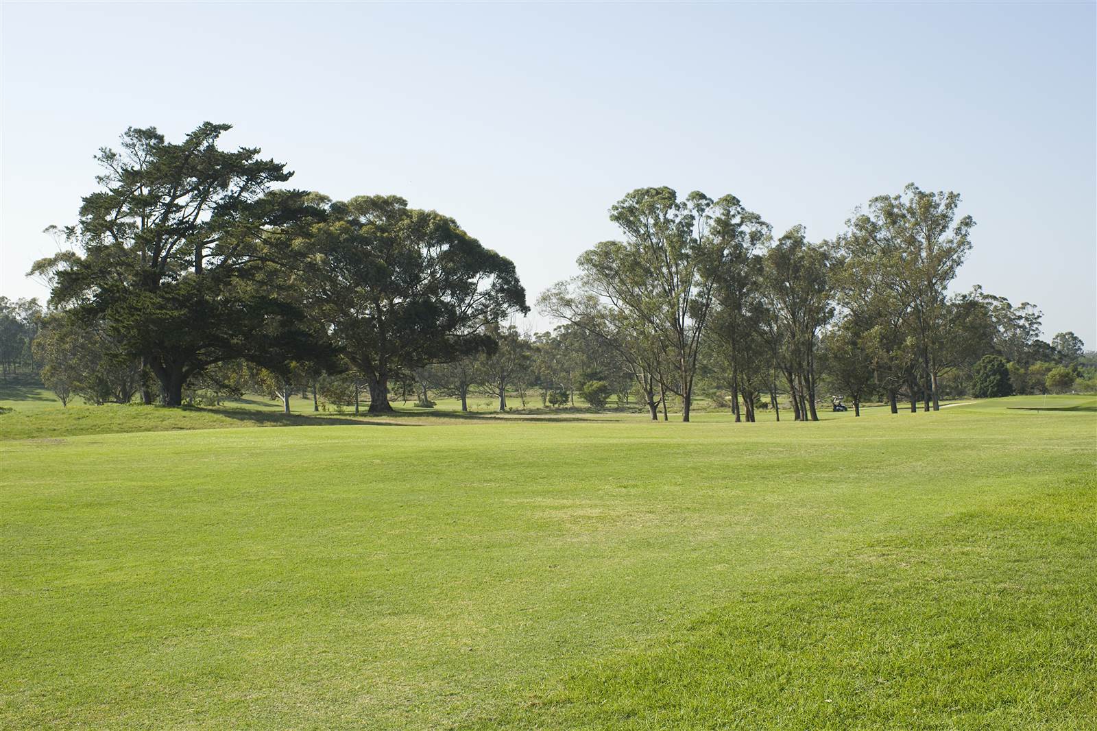 600 m² Land available in Wedgewood Golf Estate photo number 4
