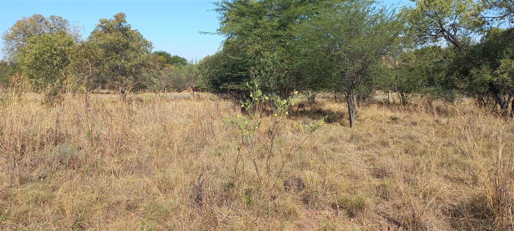 1400 m² Land available in Modimolle photo number 5