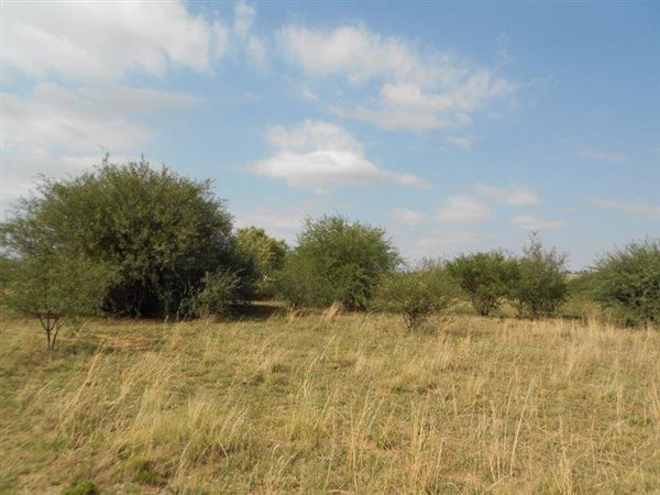 4.3 ha Land available in Martindale