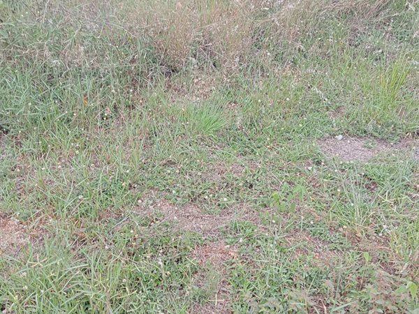 300 m² Land