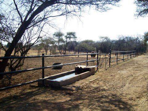 458 ha Farm in Thabazimbi photo number 6