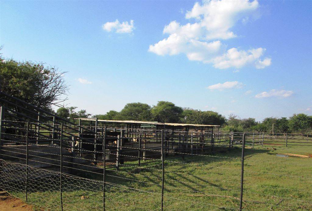458 ha Farm in Thabazimbi photo number 7