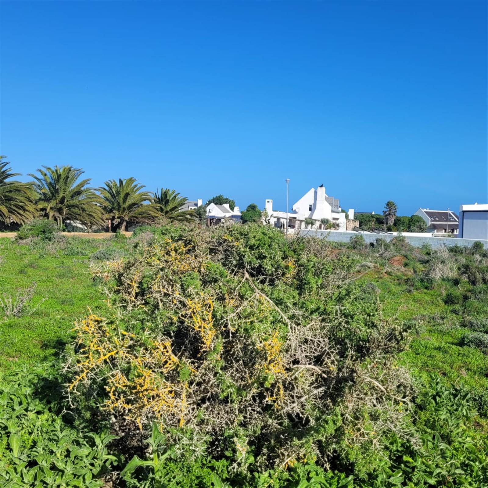 1529 m² Land available in Jacobsbaai photo number 14