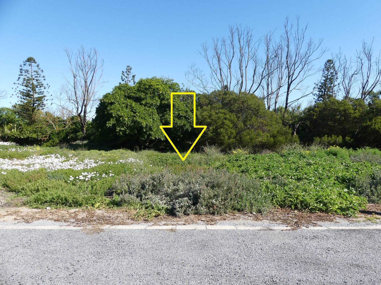 461 m² Land available in Shelley Point photo number 2