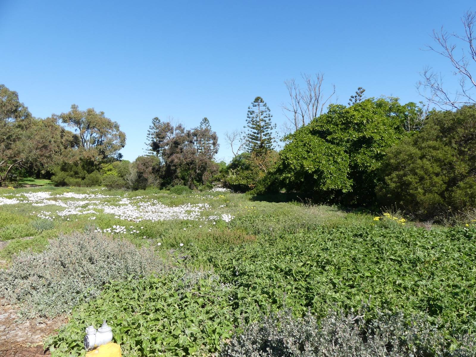 461 m² Land available in Shelley Point photo number 6