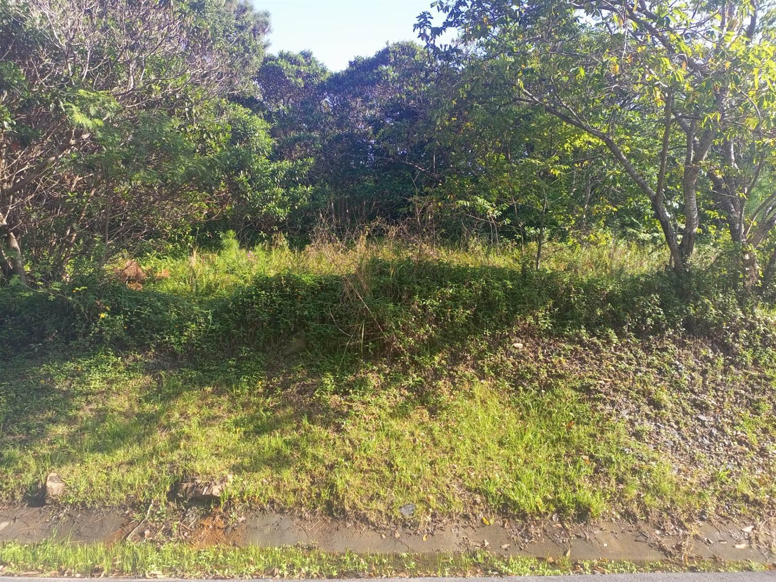 1452 m² Land available in Margate photo number 10