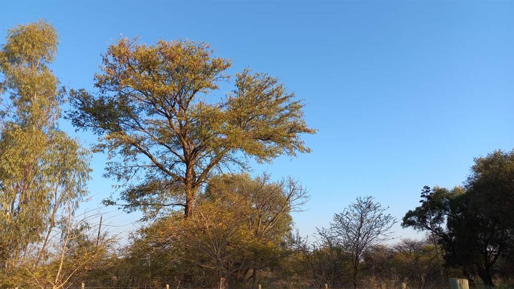 8 ha Land available in Rooiberg photo number 6