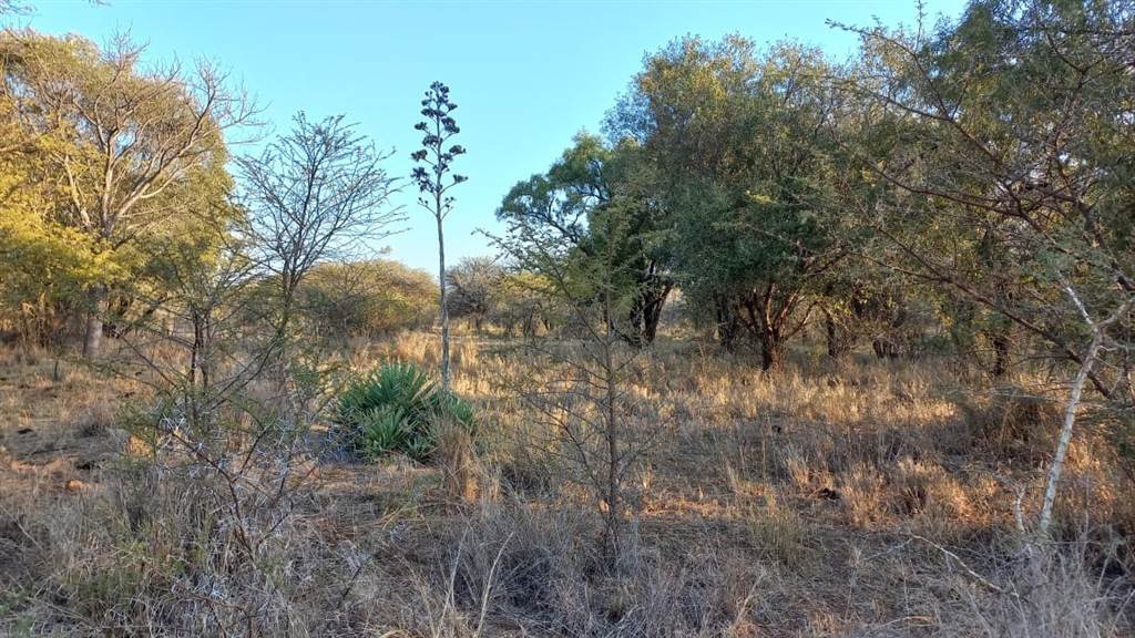8 ha Land available in Rooiberg photo number 4
