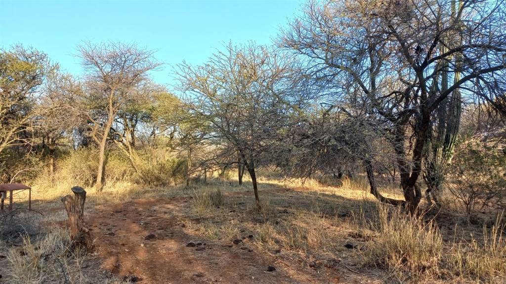8 ha Land available in Rooiberg photo number 2