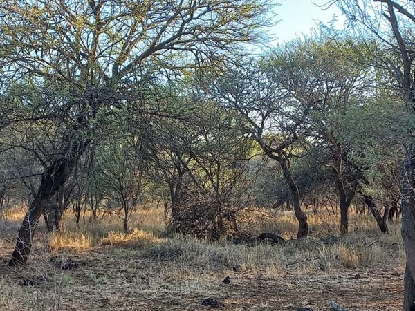 8 ha Land available in Rooiberg