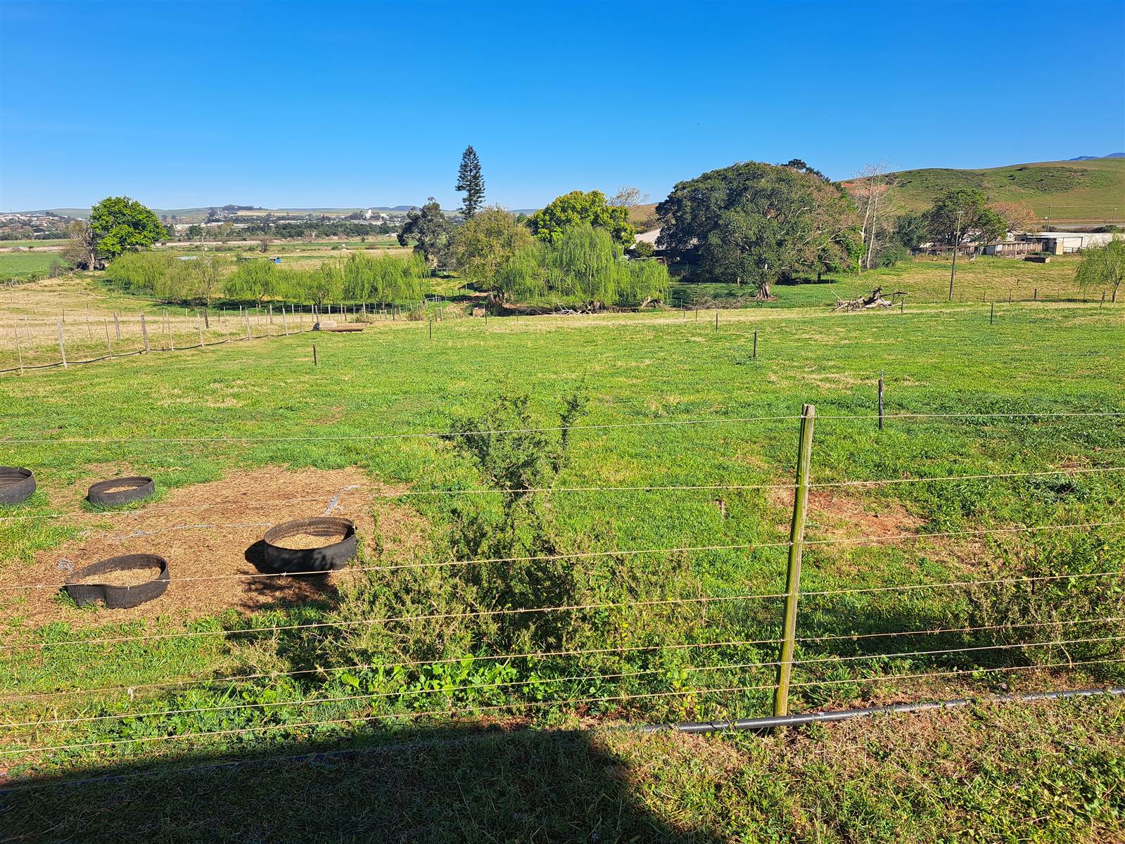 1.6 ha Farm in Riversdale photo number 19