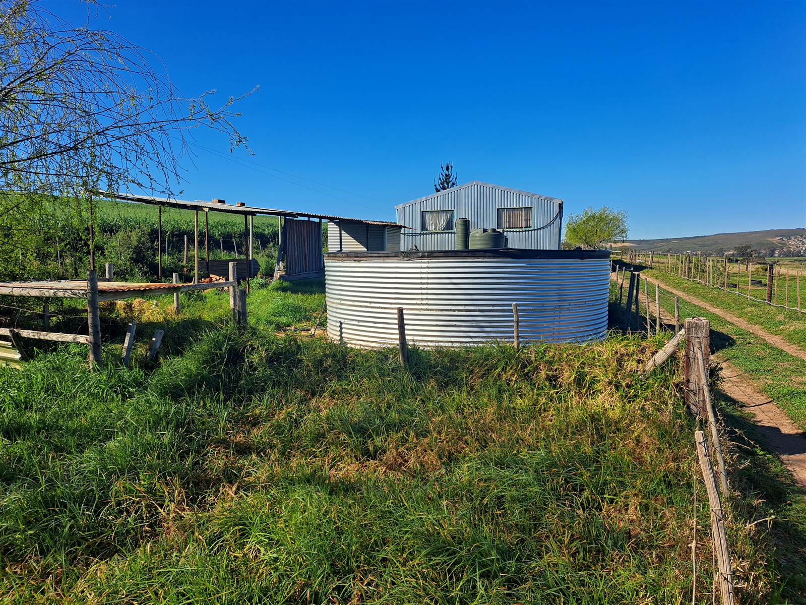 1.6 ha Farm in Riversdale photo number 3