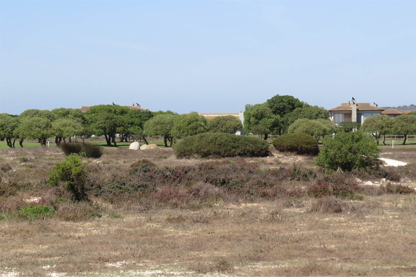 896 m² Land available in Langebaan Country Estate photo number 5