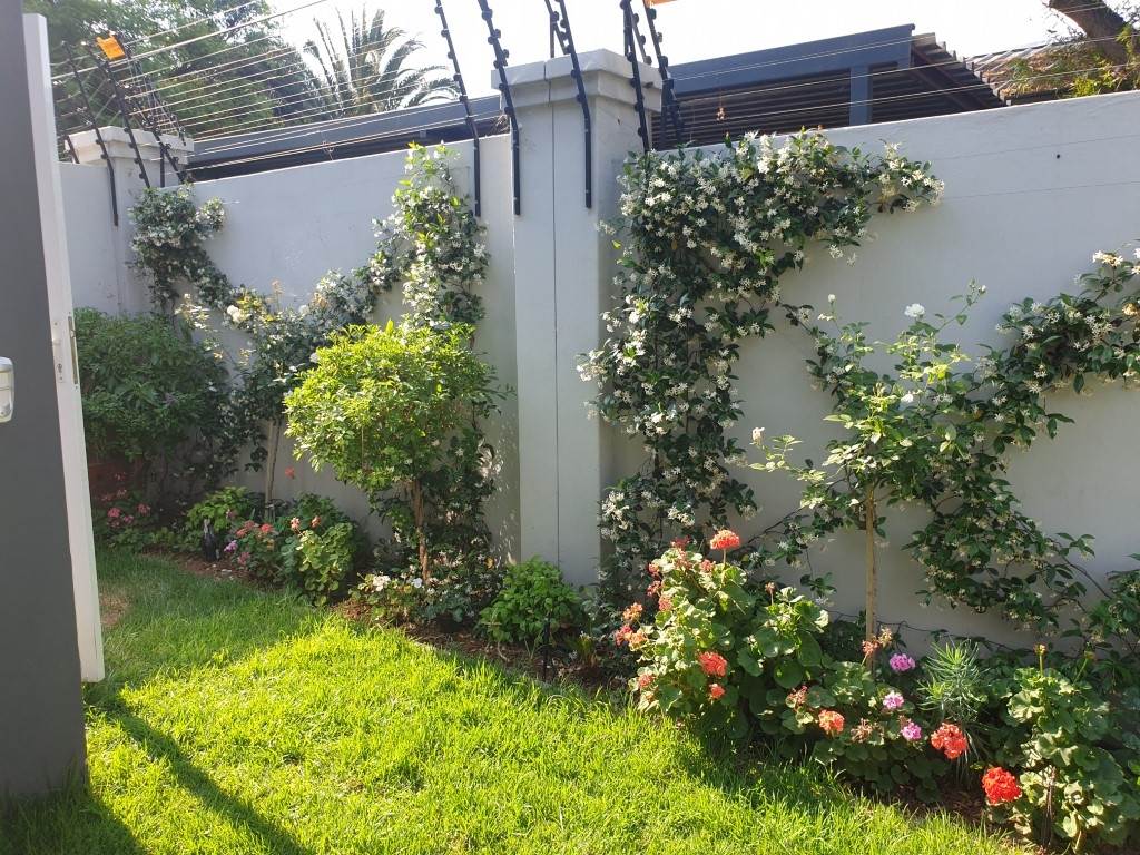 3 Bed Townhouse in Rivonia photo number 21