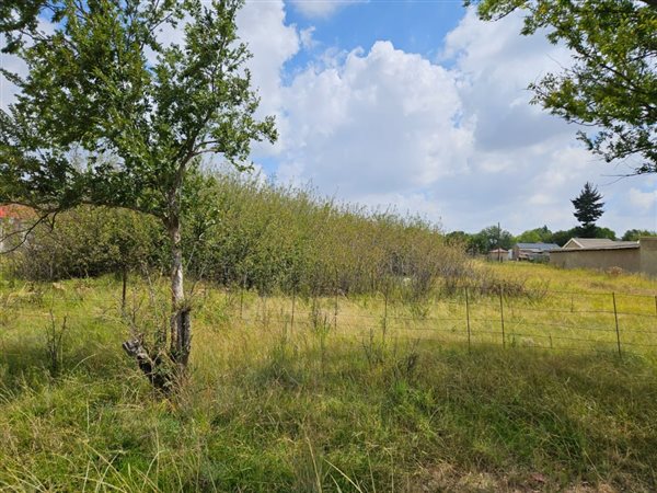2974 m² Land available in Warden