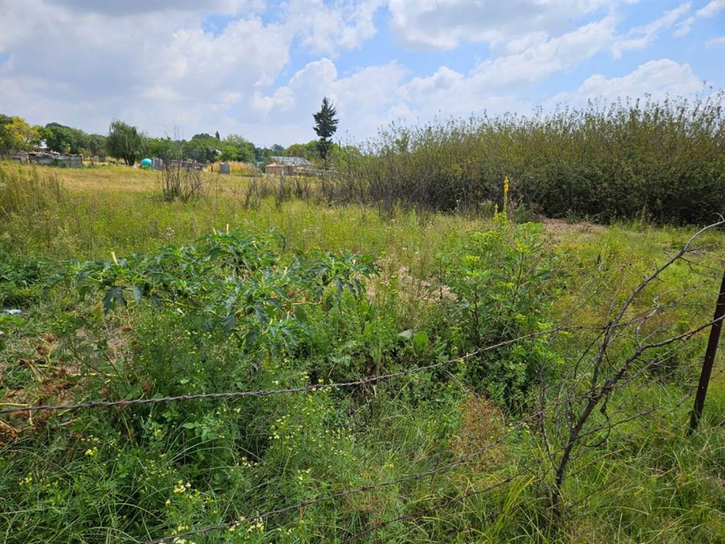 2974 m² Land available in Warden photo number 4