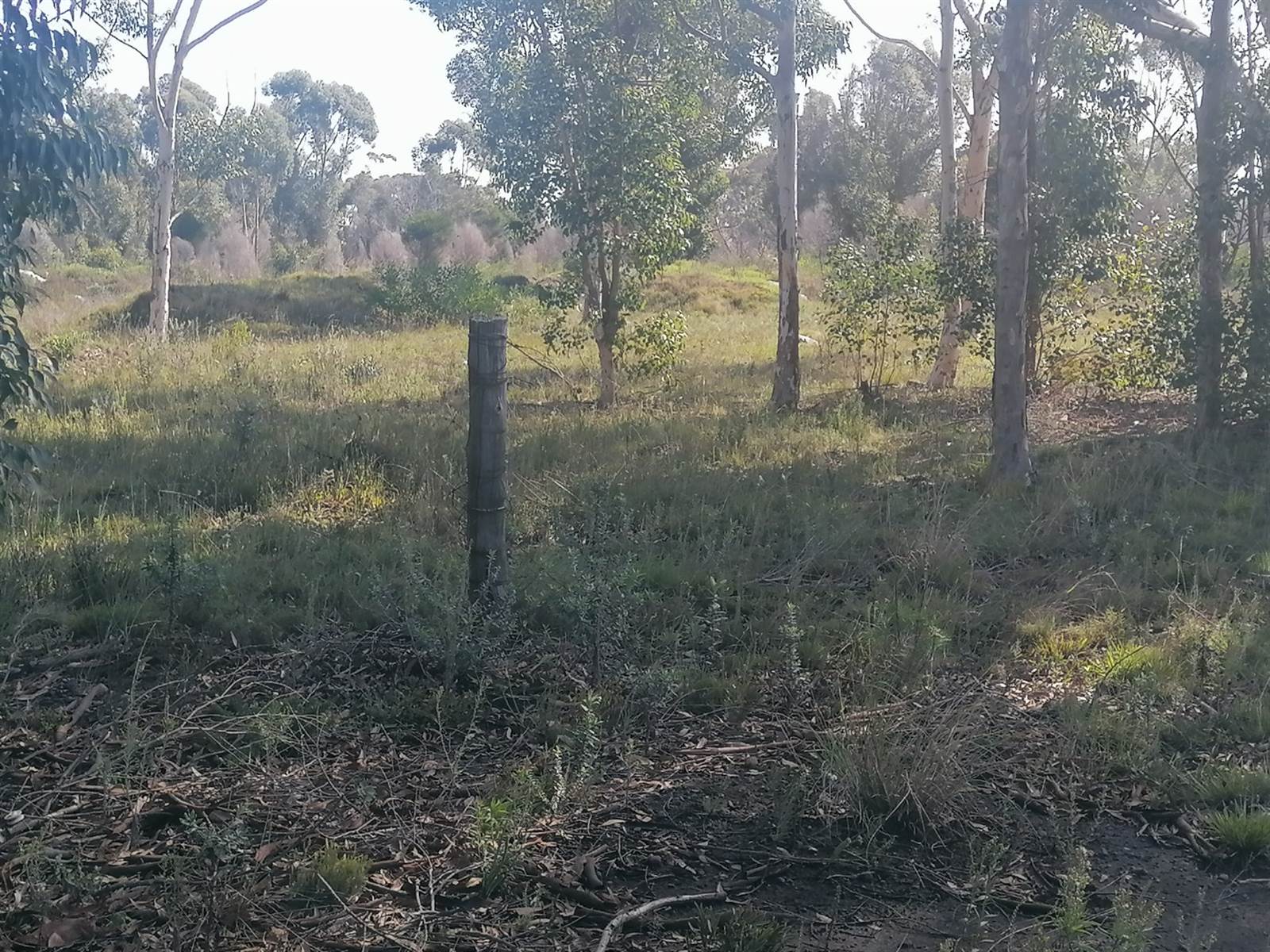 15 ha Land available in Greenbushes photo number 6
