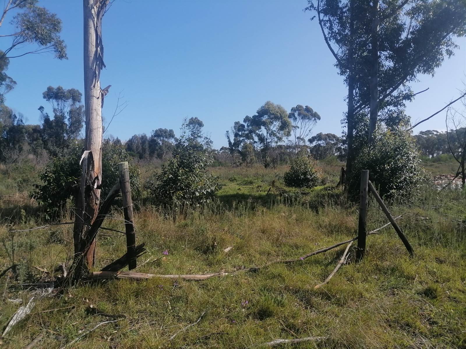 15 ha Land available in Greenbushes photo number 7