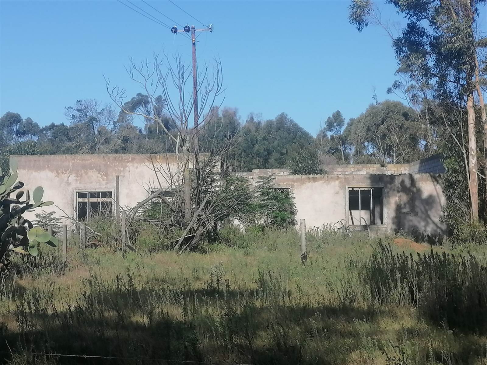 15 ha Land available in Greenbushes photo number 1