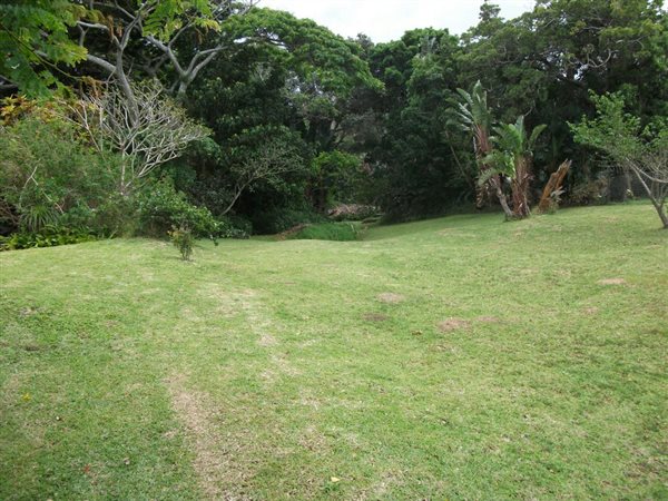 1 156 m² Land