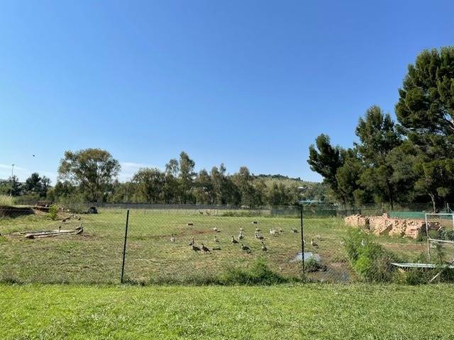 15 ha Farm in Hartzenbergfontein photo number 7