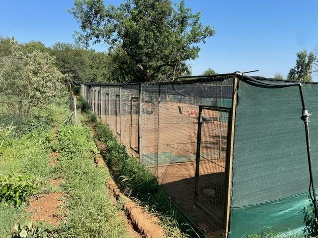15 ha Farm in Hartzenbergfontein photo number 3