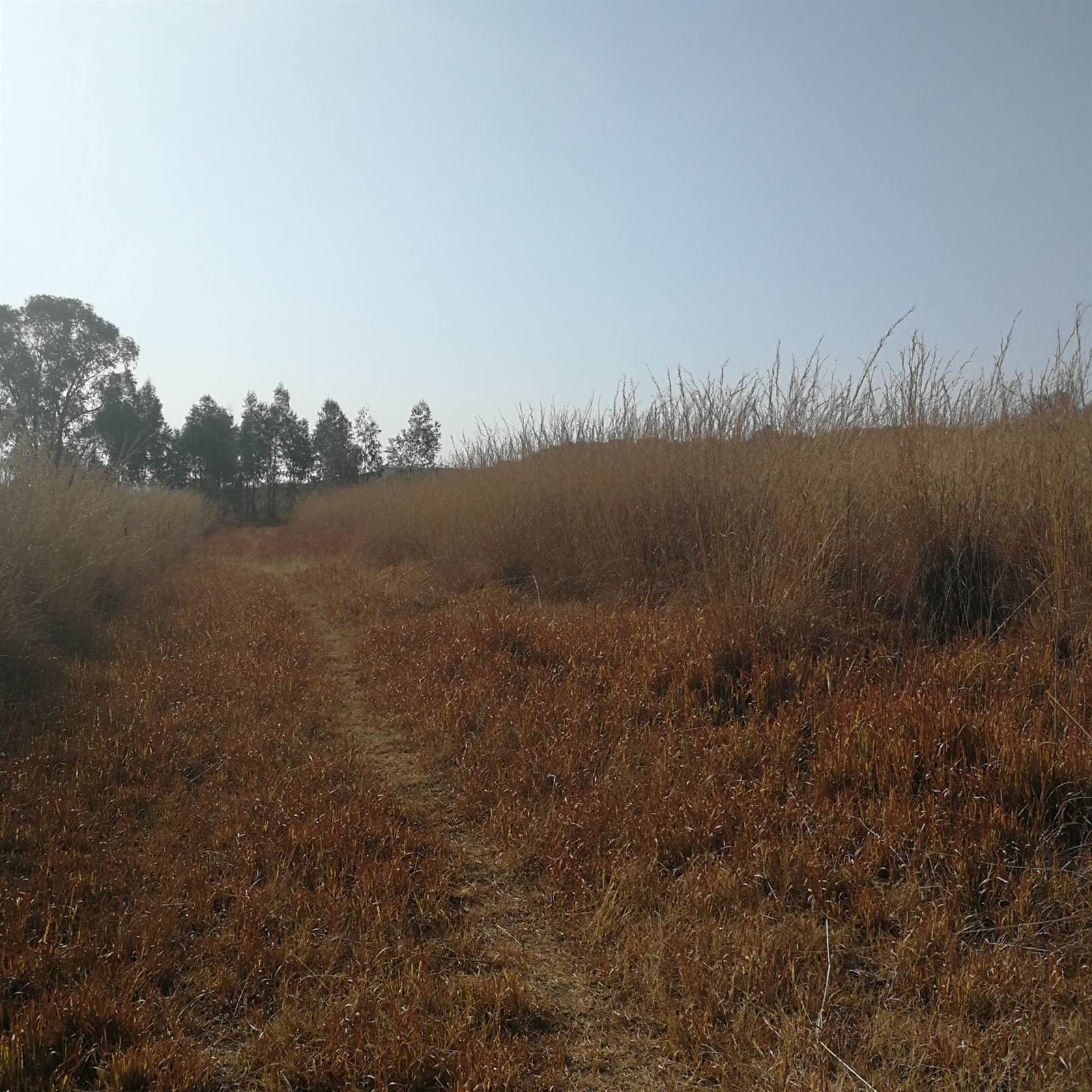 6.5 ha Land available in Cullinan and Surrounds photo number 9