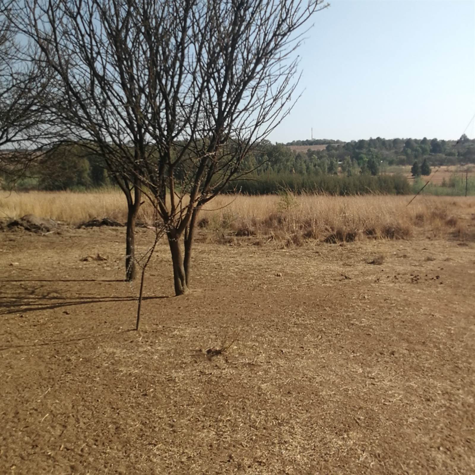 6.5 ha Land available in Cullinan and Surrounds photo number 4