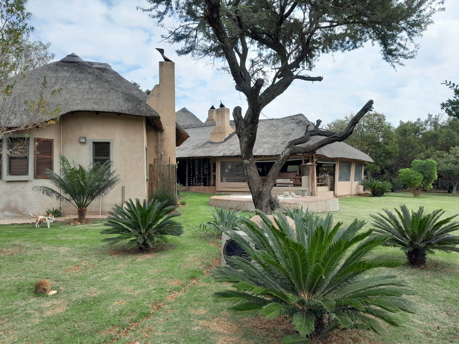2.3 ha Farm in Kameelfontein and surrounds photo number 2