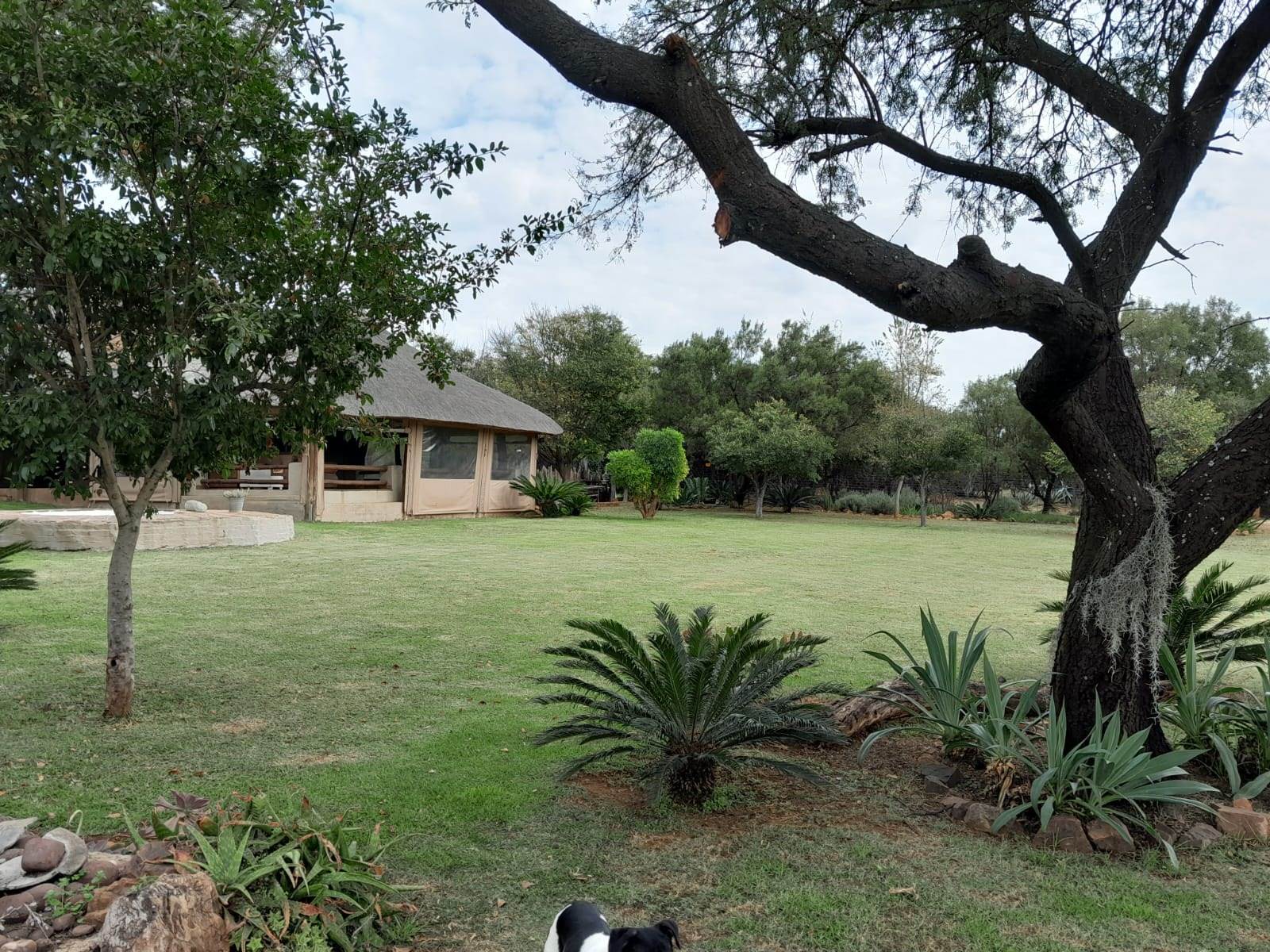 2.3 ha Farm in Kameelfontein and surrounds photo number 30
