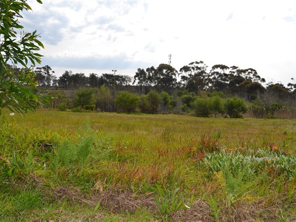 1565 m² Land available in Albertinia