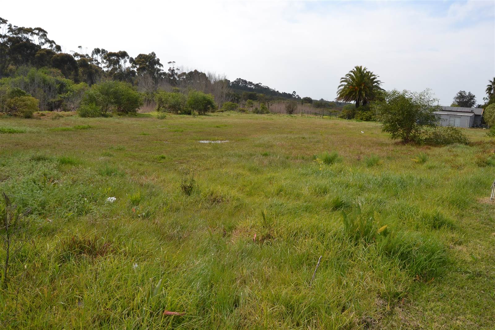 1565 m² Land available in Albertinia photo number 7