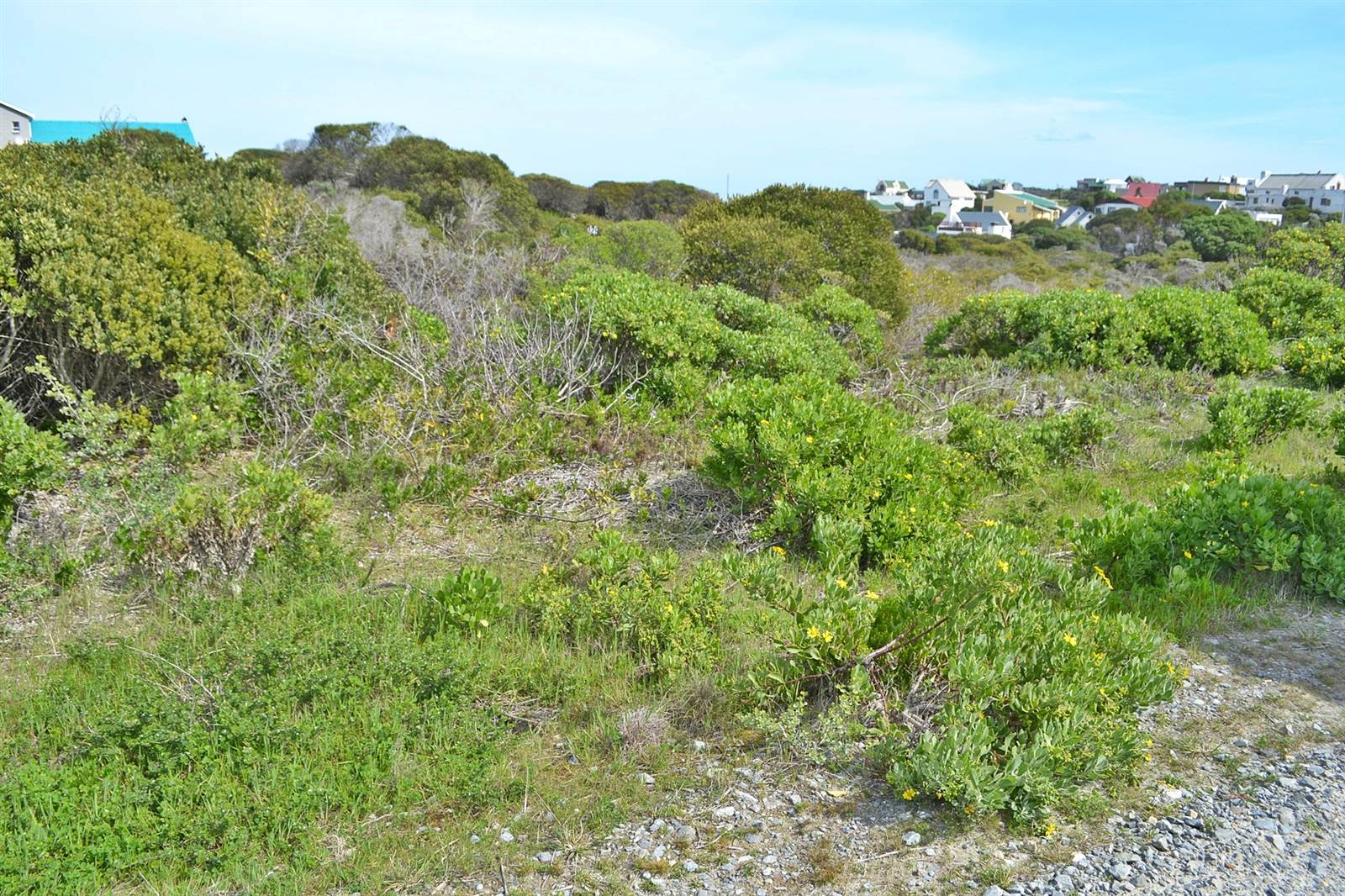 748 m² Land available in Suiderstrand photo number 5