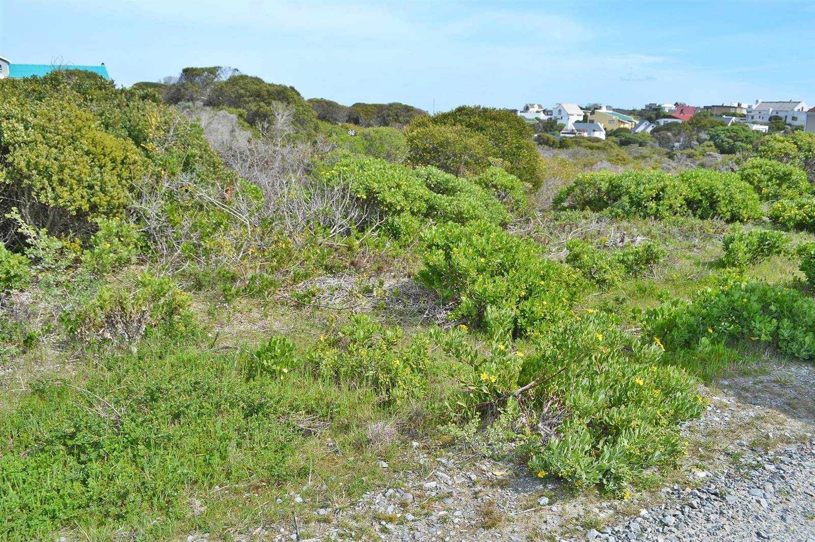 748 m² Land available in Suiderstrand photo number 6