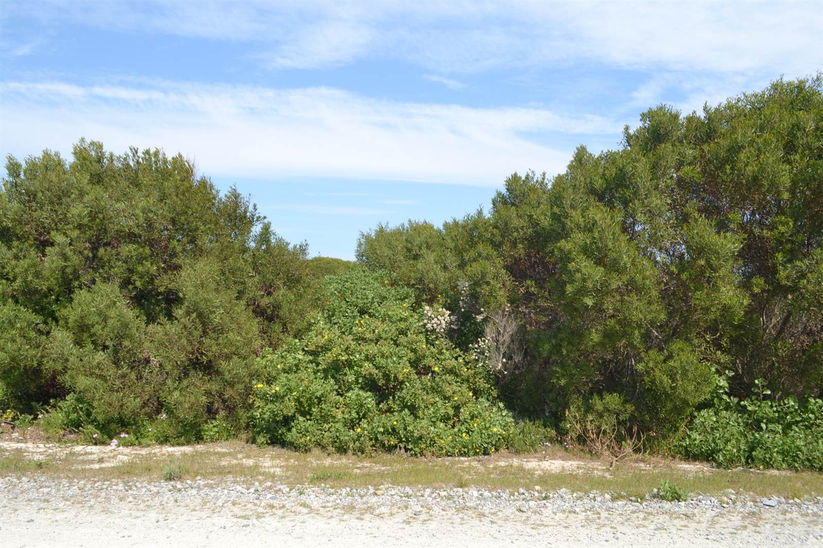 748 m² Land available in Suiderstrand photo number 8