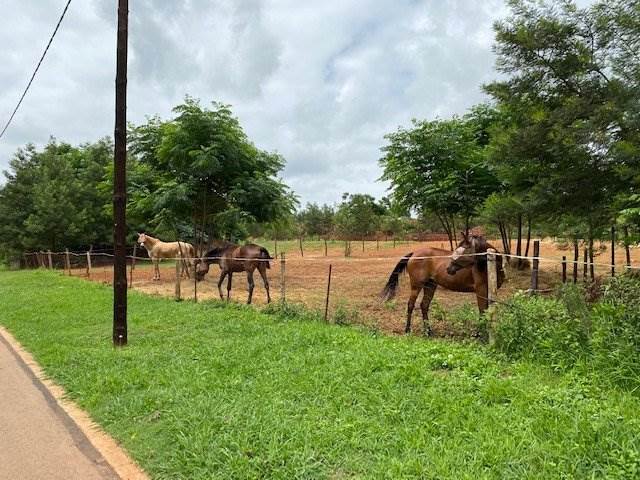 1 ha Land available in Mooikloof Equestrian Estate photo number 11