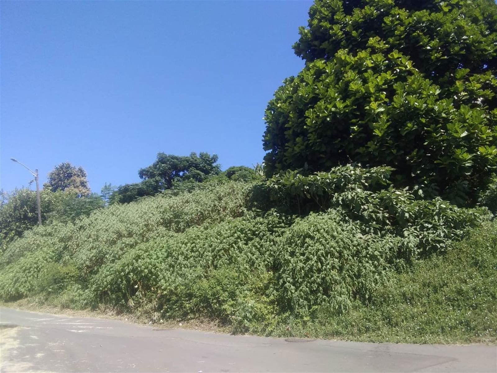 2708 m² Land available in Sea View photo number 2