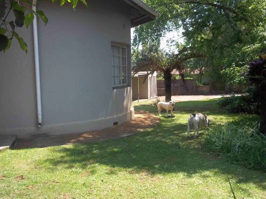 3 Bed House in Graskop photo number 26