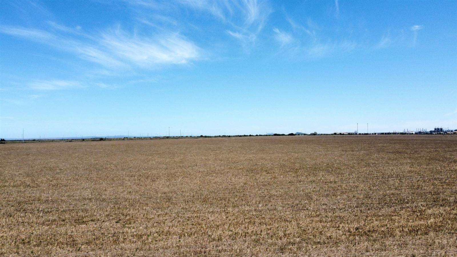 35 ha Land available in Mossdustria photo number 6