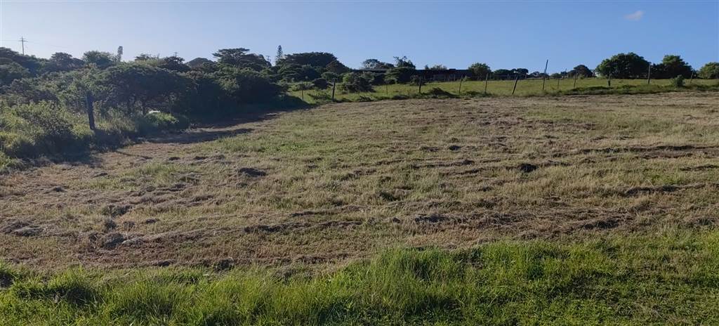 682 m² Land available in Cove Rock photo number 5