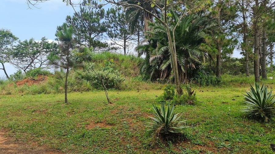 1482 m² Land available in Hibberdene photo number 7