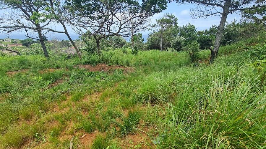1482 m² Land available in Hibberdene photo number 14