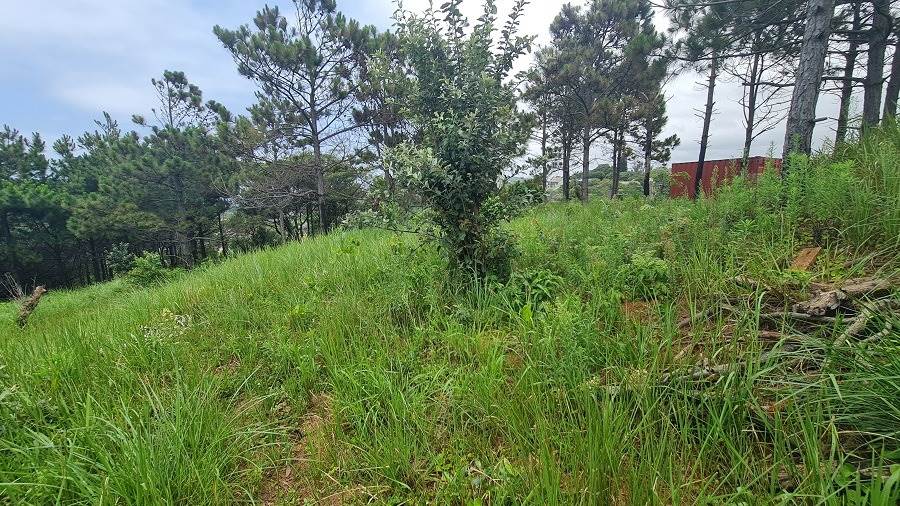 1482 m² Land available in Hibberdene photo number 9