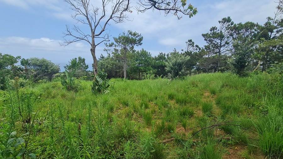 1482 m² Land available in Hibberdene photo number 8