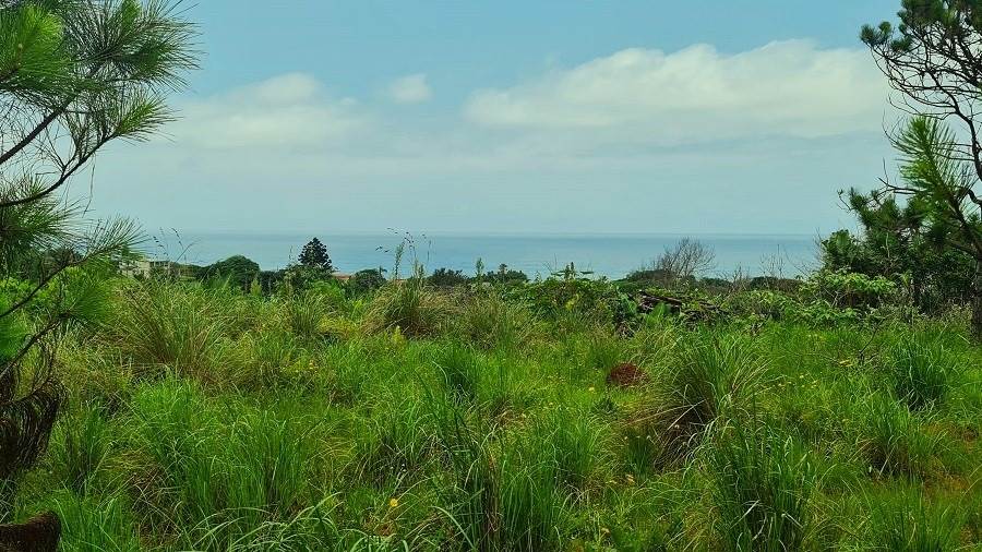 1482 m² Land available in Hibberdene photo number 2
